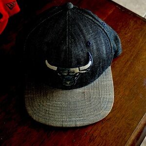 Chicago bulls snap back